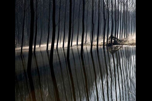 Самые красивые фото природы-2009