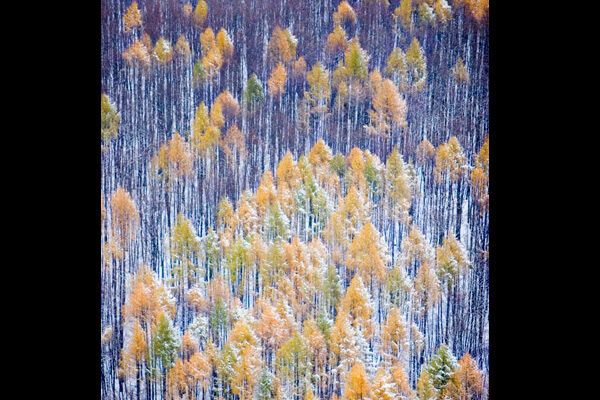 Самые красивые фото природы-2009