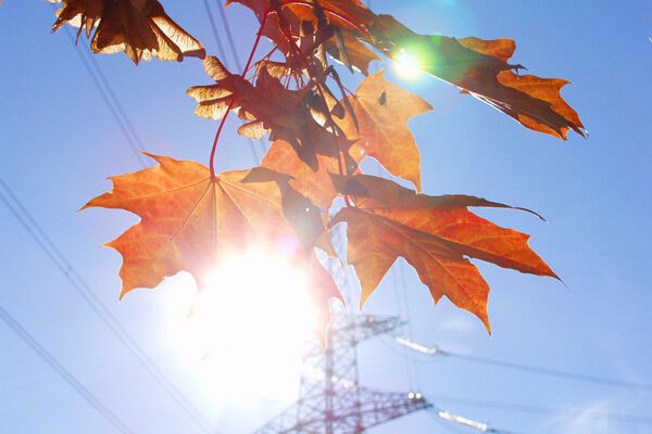 Запорожскую АЭС ночью отключили от энергосети