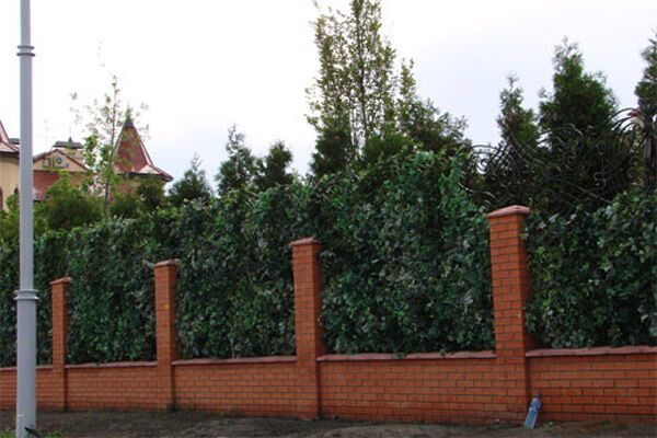 Тимошенко, расскажи правду и спи спокойно - Бродский