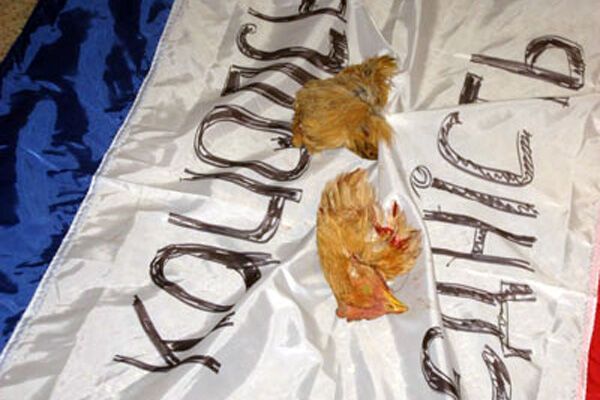 Националисты встретили русских Крыма куриными головами