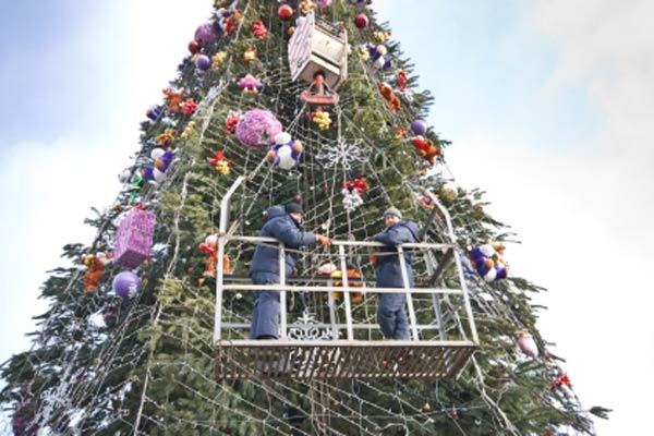 Багаття з ялинки! Як уникнути трагедії через гірлянд
