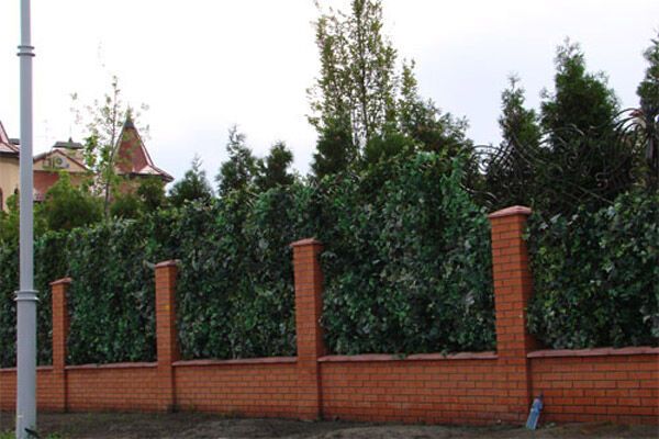 Тимошенко лжет об аренде собственного дома (ДОКУМЕНТЫ)