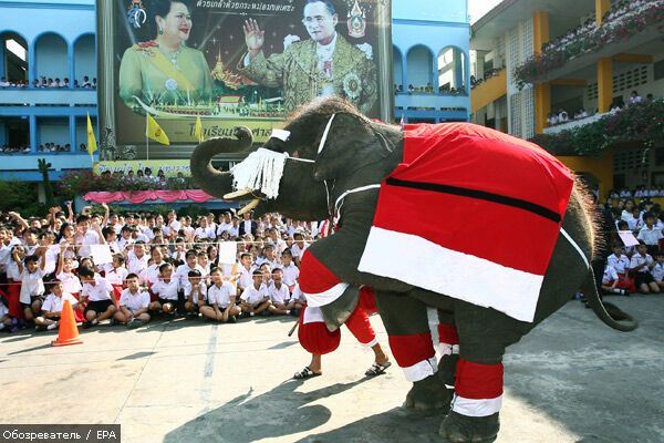 Католики отмечают Рождество. ФОТО со всего мира