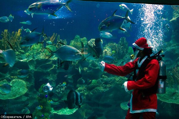 Католики отмечают Рождество. ФОТО со всего мира