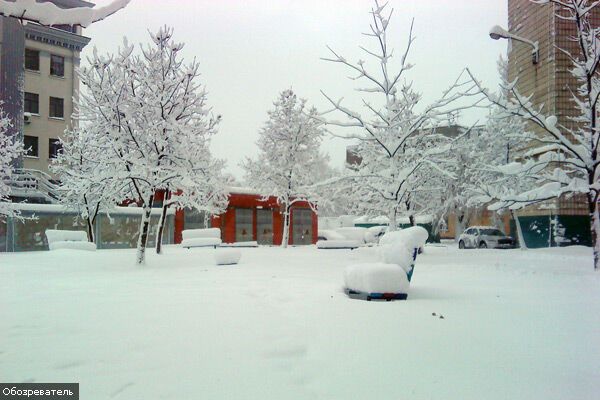 Киев в снежной западне, транспорт не ходит (ФОТО ЭКСКЛЮЗИВ)