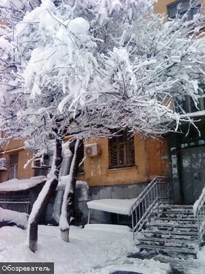 Киев в снежной западне, транспорт не ходит (ФОТО ЭКСКЛЮЗИВ)