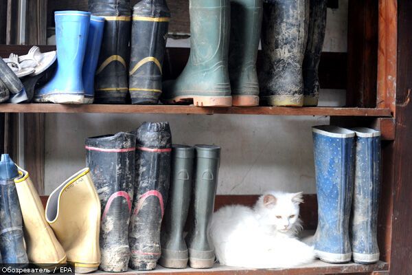 Лучшие фотомоменты 2009 года - только на "Обозревателе"!