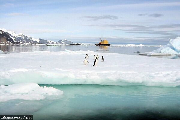 Лучшие фотомоменты 2009 года - только на "Обозревателе"!
