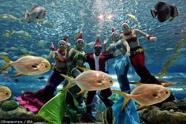 Лучшие фотомоменты 2009 года - только на "Обозревателе"!