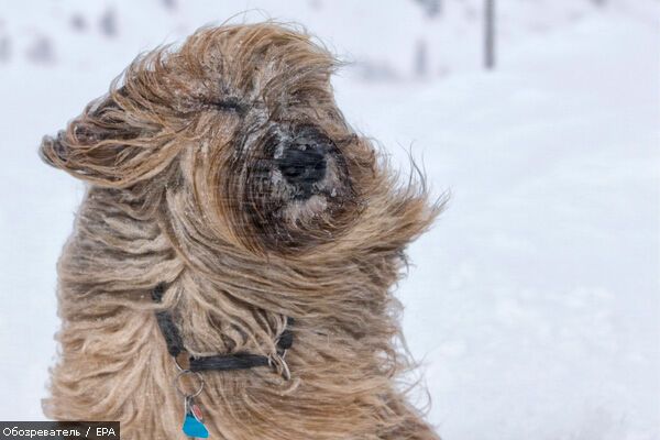 Лучшие фотомоменты 2009 года - только на "Обозревателе"!