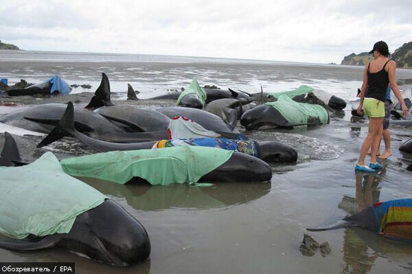 Лучшие фотомоменты 2009 года - только на "Обозревателе"!