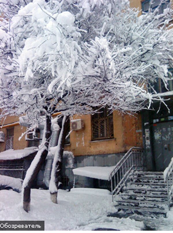 Киев угодил в снежный капкан. Коммунальщики бездействуют