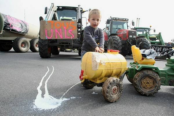 Евроцены на молоко растут шестой месяц подряд