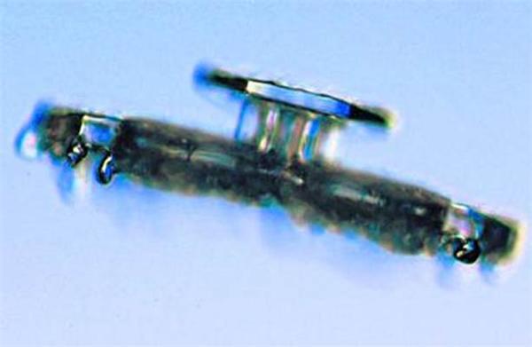 Снежинки под микроскопом: кресты, орбиты и НЛО. ФОТО