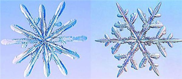 Снежинки под микроскопом: кресты, орбиты и НЛО. ФОТО