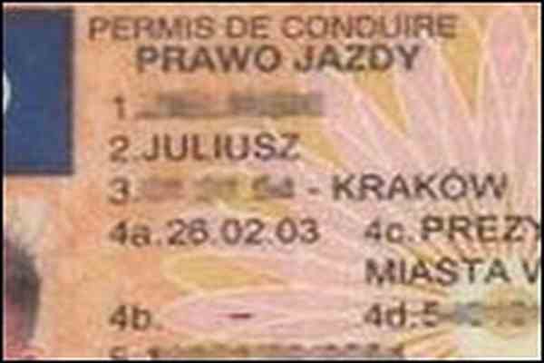 В Ірландії оголосили в розшук порушника Водійські Права