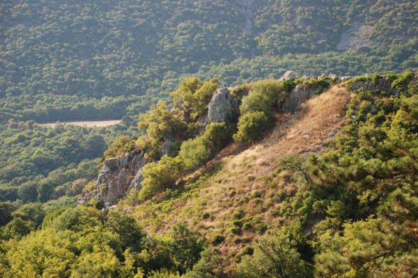 Официальный Киев урезал бюджет Ялтинского заповедника на 70%