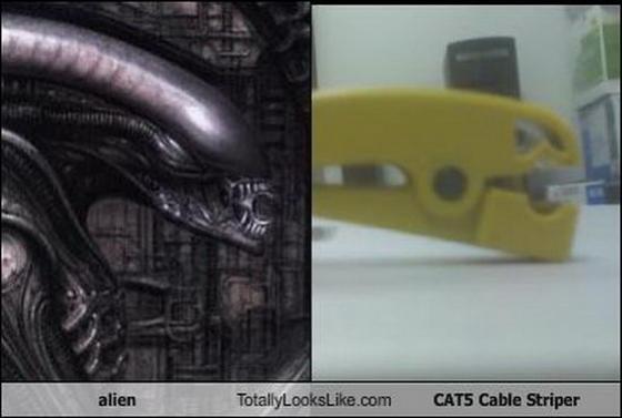 Их разлучили в детстве. Странные близнецы