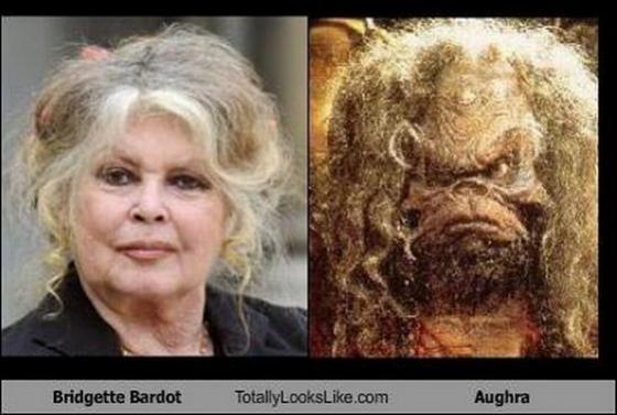 Их разлучили в детстве. Странные близнецы