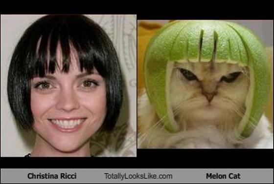 Их разлучили в детстве. Странные близнецы