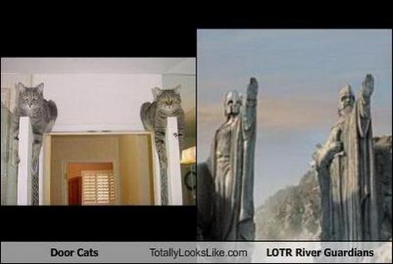 Их разлучили в детстве. Странные близнецы