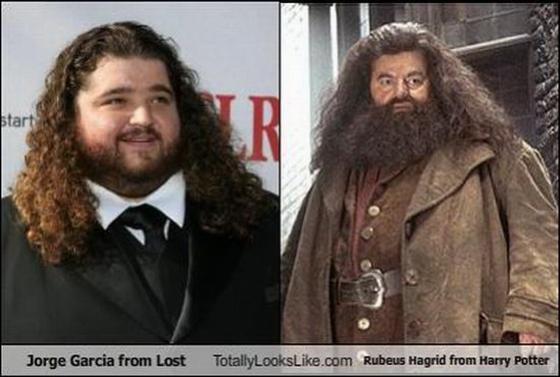 Их разлучили в детстве. Странные близнецы