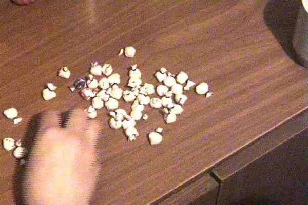 Полтавська міліція спалила наркотики на 300 тисяч