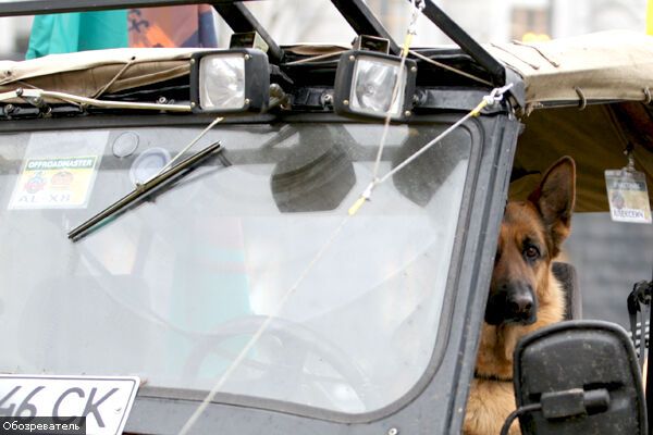 "Достали!": к осени в Украине обещают бунты.ФОТО