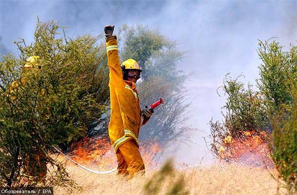 Пожежі в Австралії забрали 128 життів