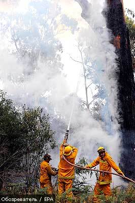 Пожежі в Австралії забрали 128 життів