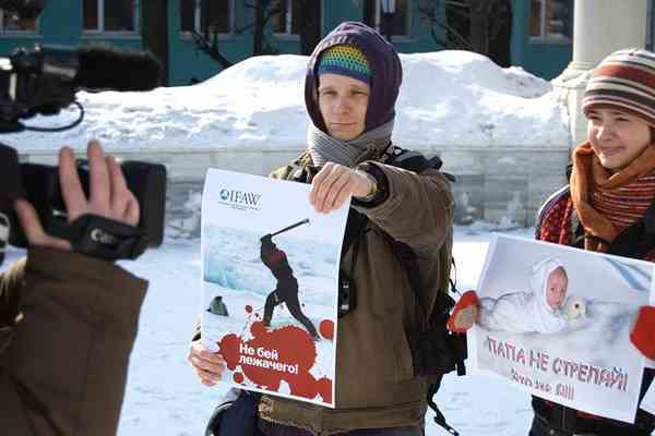 В Україні вимагають заборонити промисел тюленів