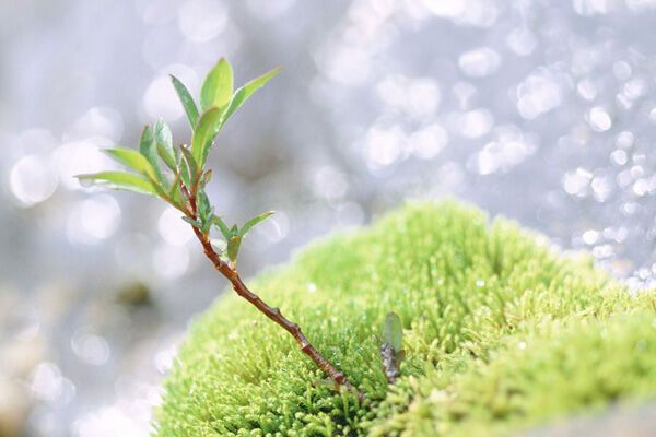 Украинцы дождались настоящей весны