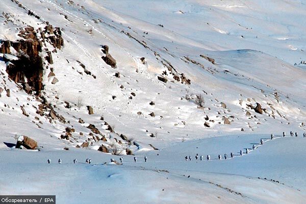 Пастух і отара овець загинули під лавиною в Киргизії
