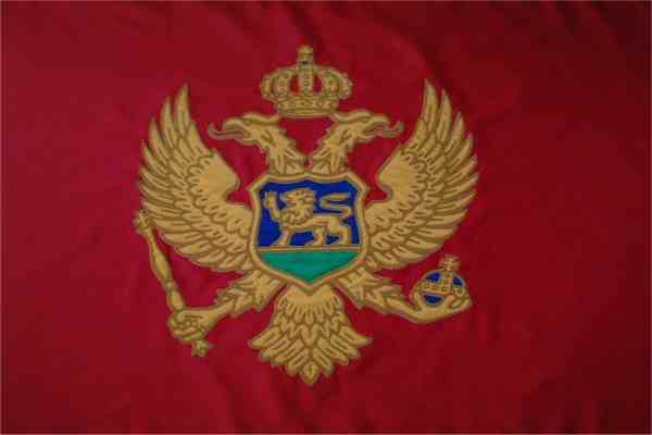 На досрочных выборах в Черногории победили еврооптимисты