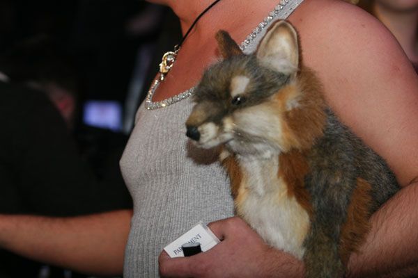 Юля Тимошенко выпила в «Бигудях»