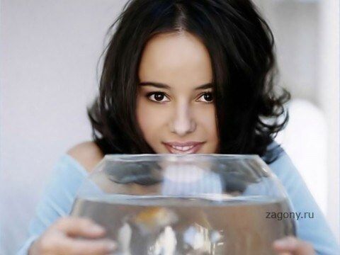 Ализе засветила трусы на сцене (Фоторепортаж) на «ШоуОбозе»