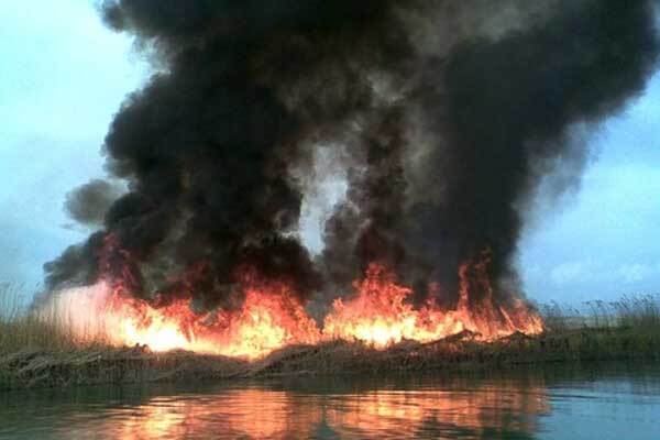 Возле Херсона горят камыши