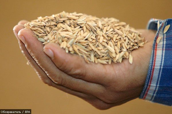 Регуляція цін ввела аграрний сектор в критичний стан