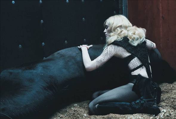 Мадонна и жеребцы. Часть вторая