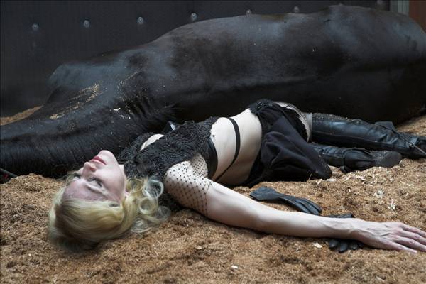 Мадонна и жеребцы. Часть вторая