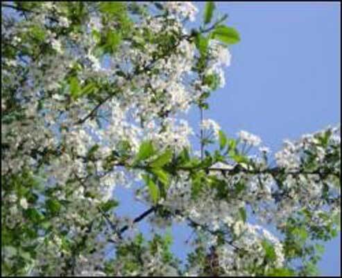 Гарна погода повертається!