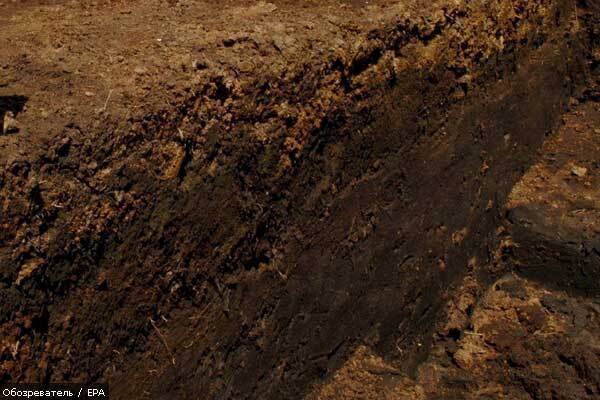 На Волині горить торф