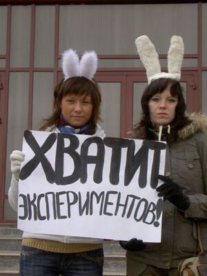 Кабмин обязал маркировать отечественные продукты с ГМО