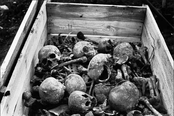 Телеканалы воздержатся от развлечений в воскресенье