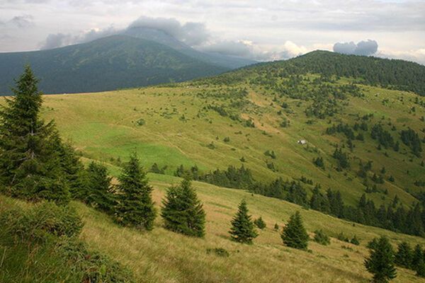 Рятувальники знайшли 9 підлітків, які заблукали на Говерлі