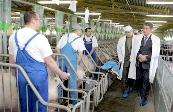 Сельское хозяйство Украины "перепишут" заново