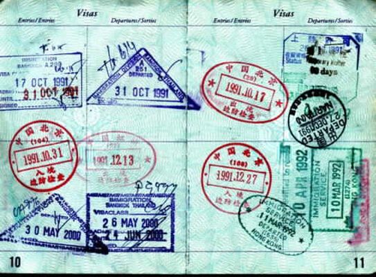 Чехия начала выдавать визы с помощью Интернета