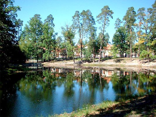 У замгенпрокурора отбирают дачу в Пуща-Водице