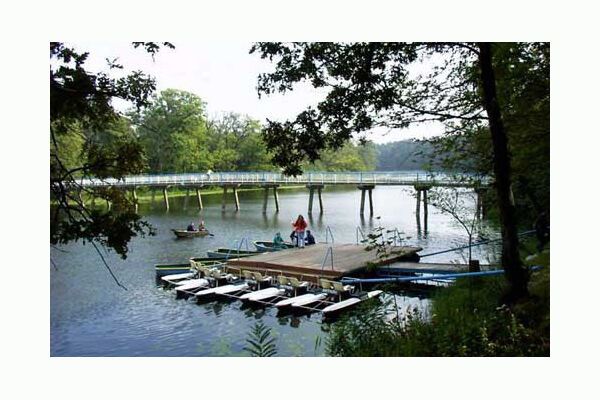 Заповедная пуща теневых схем украинской политики